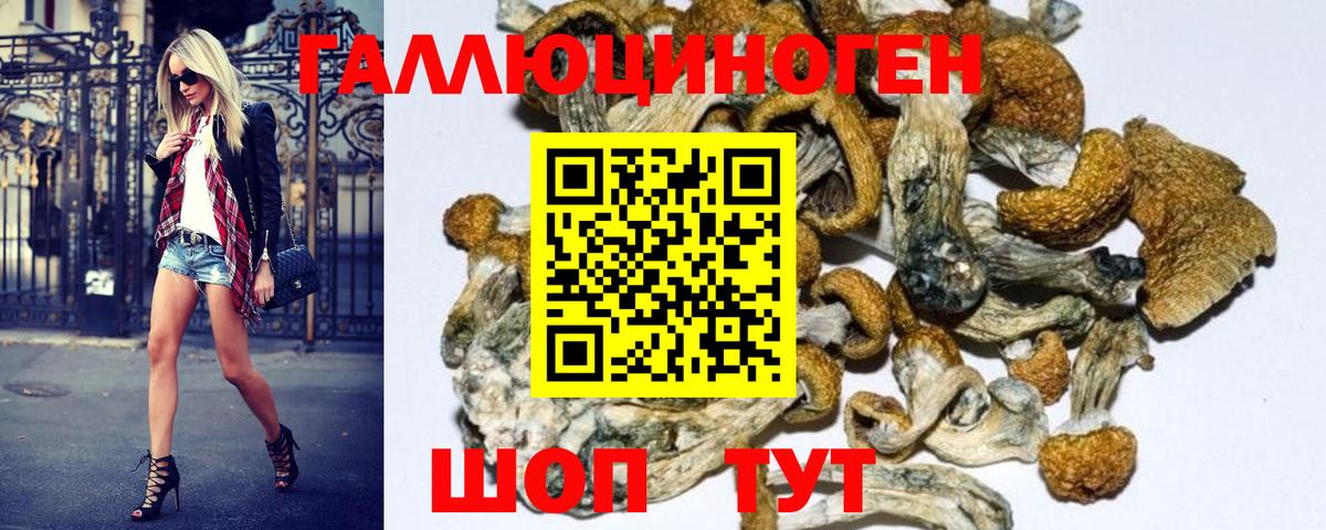 Орёл  что такое   Галлюциногенные грибы Magic Shrooms  Вход с VPN  Псилоцибиновые грибы Magic Shrooms 
