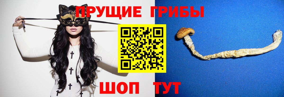 Галлюциногенные грибы GOLDEN TEACHER Орёл